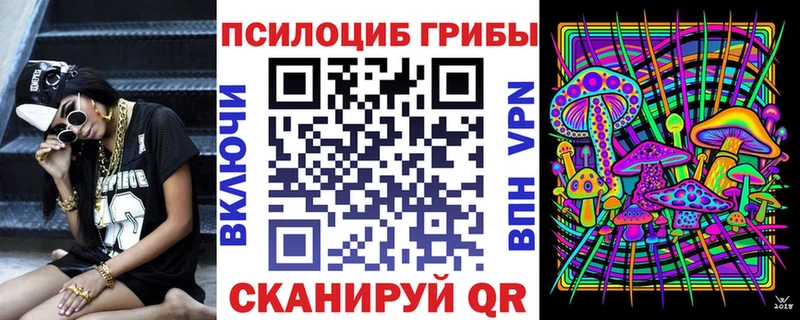 Псилоцибиновые грибы Psilocybine cubensis  Бугульма 