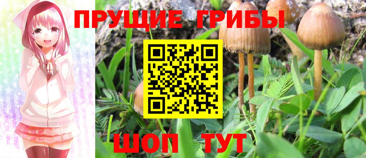 Псилоцибиновые грибы Magic Shrooms Бугульма