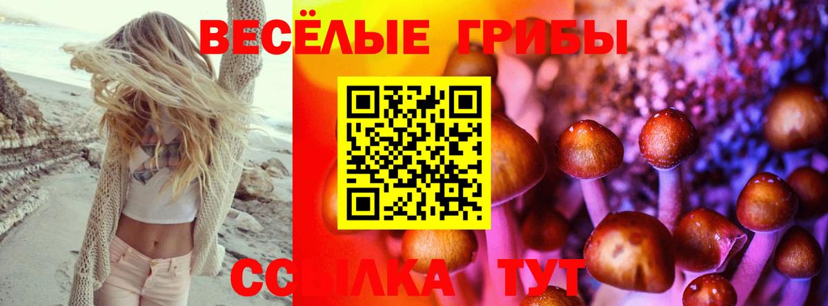 Псилоцибиновые грибы мухоморы  Псилоцибиновые грибы мицелий  Вход с VPN  Бугульма 
